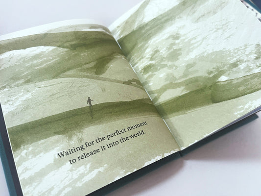 The Skimming Stone - book