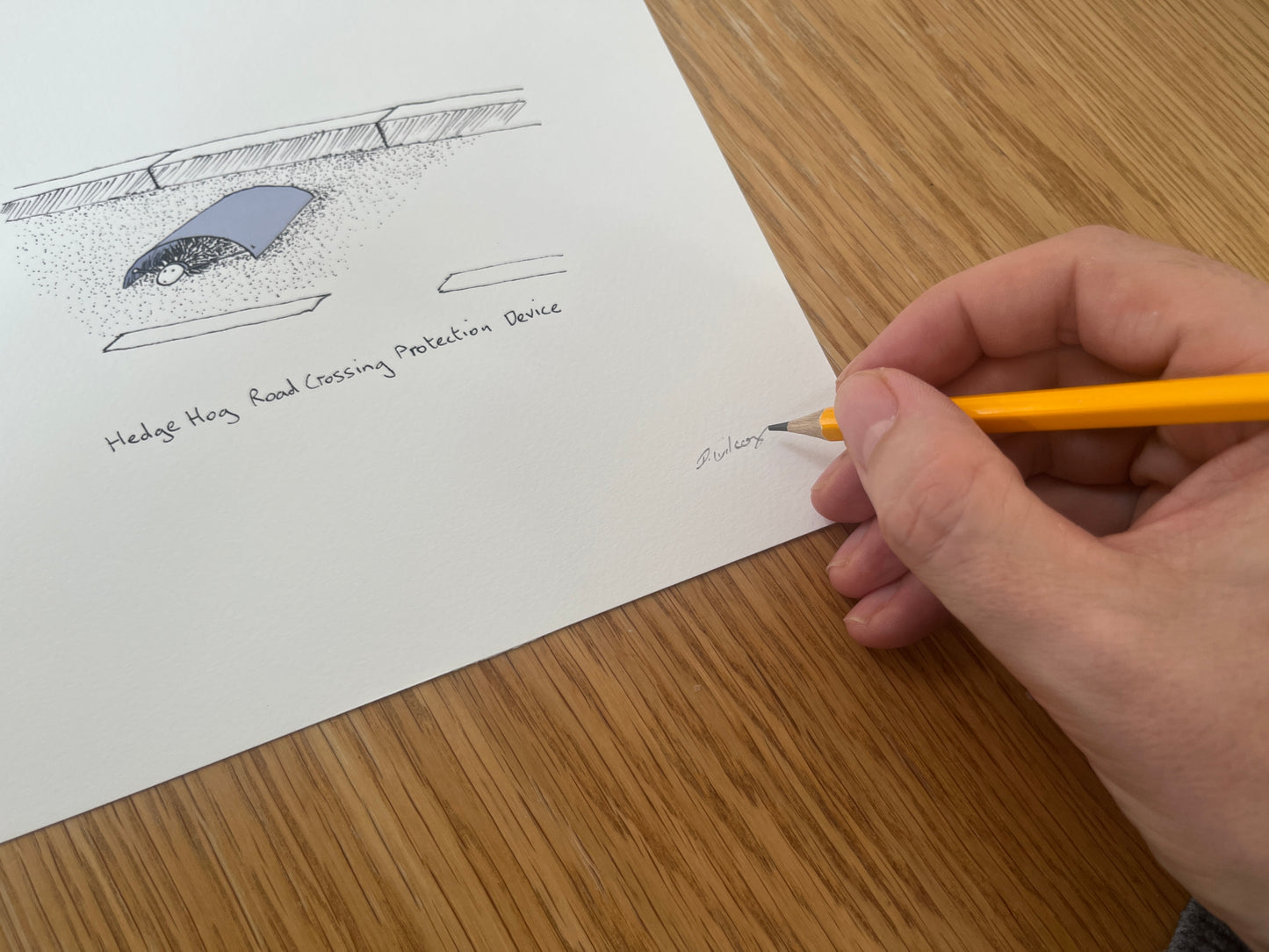 Hedgehog road crossing device, 8"x 8" print